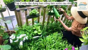 Top 2 mẫu tận dụng ban công làm vườn rau nhỏ